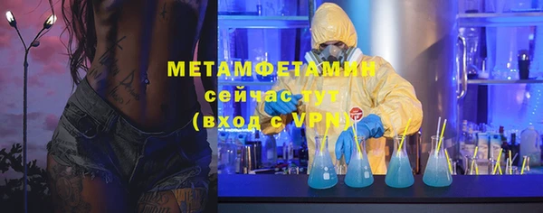 индика Инта