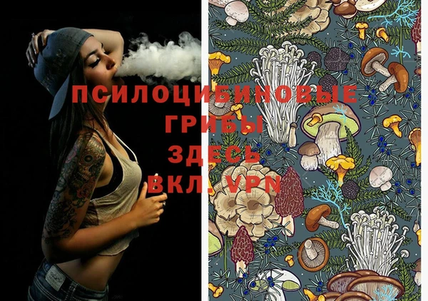 индика Инта