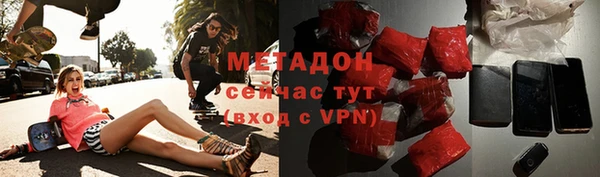 индика Инта