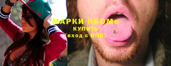индика Инта