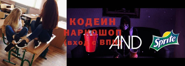 индика Инта