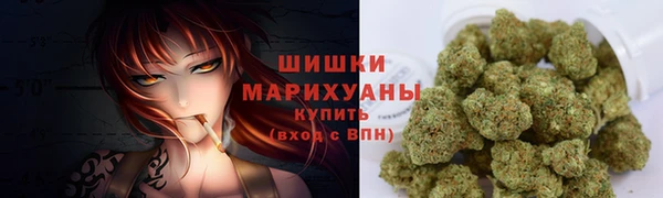 индика Инта