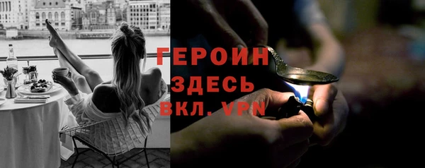 индика Инта