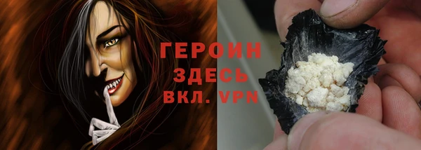 индика Инта