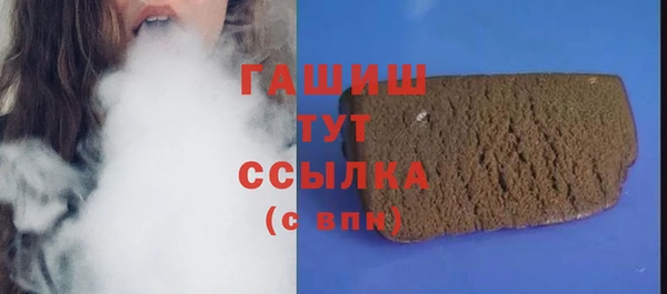 индика Инта