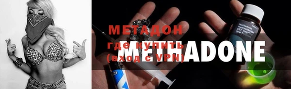 индика Инта