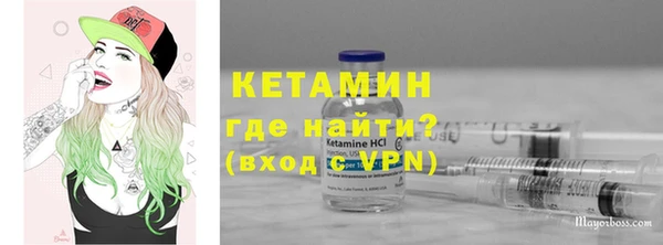 индика Инта