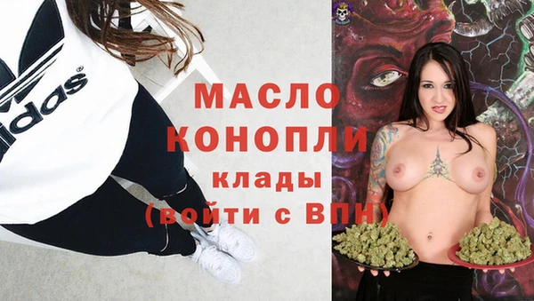 индика Инта