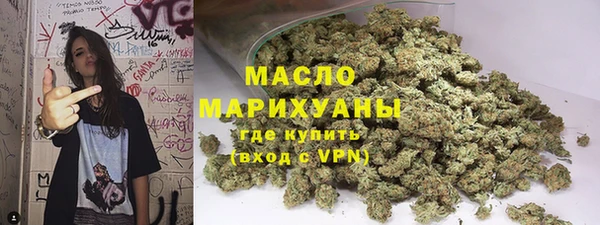 индика Инта