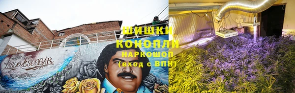 прущая мука Иннополис