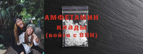 индика Инта