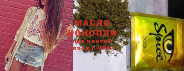 индика Инта