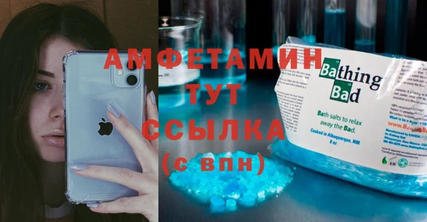 индика Инта