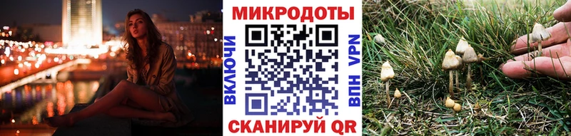 Псилоцибиновые грибы мухоморы  Купить закладки  Зеленоградск 